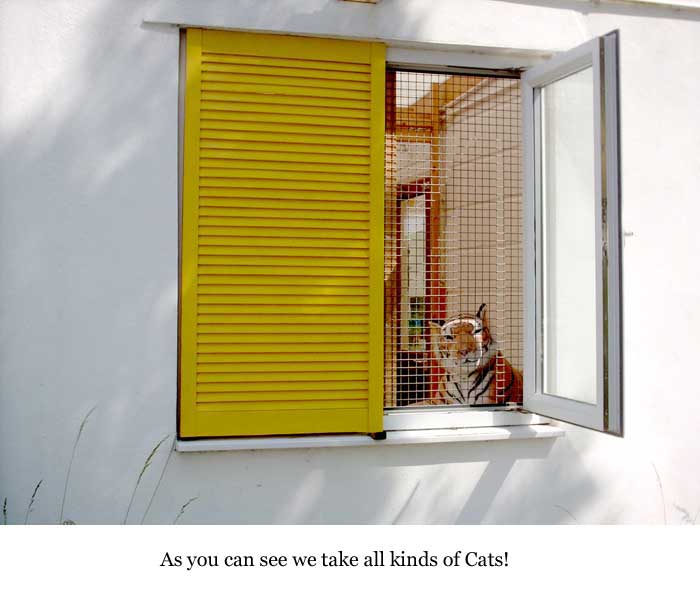 Happy Cattery Tour