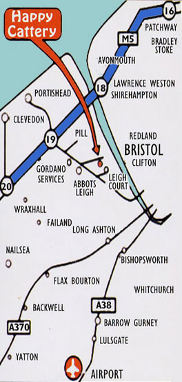 Location of Happy Cattery